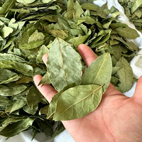 Feuilles de Laurier Naturelles en Gros : Stimule le Métabolisme, Soutient la Santé Articulaire et Digestive, Assaisonnement Quotidien
