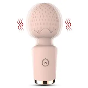 10 Vibration AV Wand USB Rechargeable Waterproof clitoral vibrators High Quality Portable Powerful Massager supplier