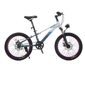NOUVEAU Prix pas cher pour les enfants 20/22 pouces en alliage d'aluminium Student Mountain Bike MTB Mountain Bicycle. - Product Image 4