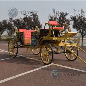 Caiteng Marathon <span class=keywords><strong>Sulky</strong></span>, chariot à 4 roues pour poney, charrette de luxe royale, carrosse de mariage Cendrillon, chariot électrique de tourisme Victoria, 6 places - Product Image 3