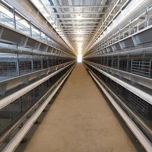 Modern Design H Type Automatic Egg Layer Poultry Farms Battery Layer Chicken Cage