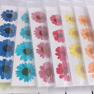 Flor seca de crisantemo Real 3D, 15 colores, Nail Art, Gel UV, diseños acrílicos, decorar flores secas - Product Image 2