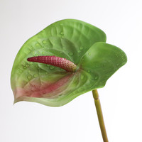 Fleur artificielle Anthurium réaliste de 63 cm, vente en gros d'usine, promotion spéciale Fête des Mères, décoration de mariage, centre de table de haute qualité