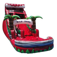 Toboggan aquatique gonflable commercial d'extérieur avec piscine, bâche en PVC 18 OZ, capacité de 500 kg, pour plus de 10 passagers, location pour événements