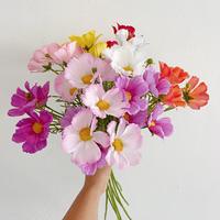 Fleurs artificielles en latex à toucher réel, 3 têtes, Cosmos Daisy, pour la décoration de la fête des mères