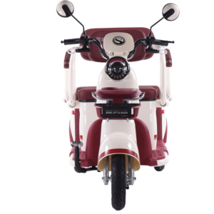 Hot Bán Nhà Máy Trực Tiếp Điện Xe Ba Bánh Cho Người Lớn & Trẻ Em Mở Cơ Thể Giải Trí & Hàng Hó<span class=keywords><strong>a</strong></span> Rides Thuận Tiện Pick-Drop Dịch Vụ - Product Image 1