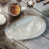 Assiette verte nacre artisanale moule de mer biodégradable conque coquille plat Photo bijoux assiettes décoratives