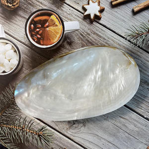 Assiette verte nacre artisanale moule de mer biodégradable conque coquille plat Photo bijoux assiettes décoratives - Product Image 3