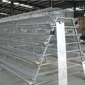 Wholesale Automatic 4 Layer Battery Poultry Chicken Cage Chicken Layer Farming Equipment For Sale