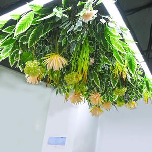 Pas cher Artificielle <span class=keywords><strong>Lierre</strong></span> Fougère Verdure Feuille Plantes Fleurs Vigne Feuillage Suspendus pour Fête Jardin Maison Mur Plafond Déco - Product Image 4