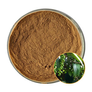 Pó 10:1 do extrato da raiz de Kava, 20:1, 30:1; Extrato da raiz de Kava da cosmética-categoria. - Product Image 1