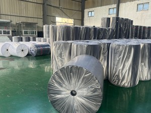 Toile géotextile non tissée pour jardin, tapis anti-mauvaises herbes, couverture pour plantes, tissu paysager non tissé - Product Image 4