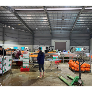 Verduras frescas-Pimientos congelados a bajo precio Embalaje personalizado Procesamiento de productos agrícolas en vietnamita al por mayor - Product Image 5