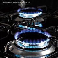 Cuisinière à gaz Xunda à 4 brûleurs avec four et grill, personnalisable ou standard, à prix avantageux