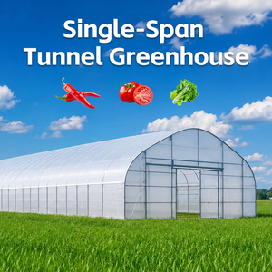Serre tunnel agricole économique et durable à simple travée en tuyaux galvanisés pour pépinière de tomates - Product Image 1