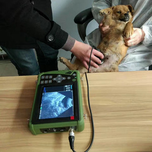 Ecógrafo Portátil Económico para Animales, <span class=keywords><strong>Escáner</strong></span> <span class=keywords><strong>de</strong></span> Ultrasonido para Embarazo <span class=keywords><strong>de</strong></span> Mascotas - Product Image 6