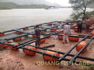 <span class=keywords><strong>Cage</strong></span> flottante pour concombres de mer et abalones <span class=keywords><strong>à</strong></span> <span class=keywords><strong>vendre</strong></span> - Product Image 5