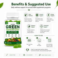Gummies Super Greens Marque Blanche OEM ODM Formule Personnalisée Sans Sucre Complément Bien-être Fabrication en Gros Fournisseur Marques