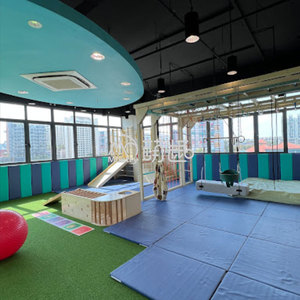 Moetry Sensory Room Kids Indoor <strong>Play</strong> Jungle Gym Wooden Monkey Bars Climbing <strong>Frame</strong> with Gymnastic Therapy Swing - Product Image 2