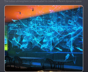 Impermeable noche estrellada estrella cielo centelleante al aire libre 2W a todo color RGB cielo estrellado luz láser para árboles jardín - Product Image 1