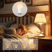 Ampoule LED rechargeable E27 d'urgence, fabriquée directement en usine, télécommande, intensité variable, température de couleur 3000-6000K, pour usage domestique et extérieur