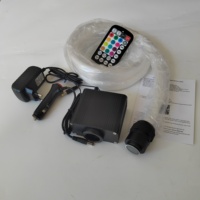 Kit d'éclairage en fibre optique 16W pour voiture et maison, 300mm, 0.75mm, 2.5 m/pcs
