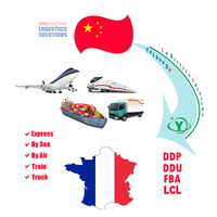 Fournisseur de services logistiques professionnels, transport maritime et aérien DDP DDU, service d'expédition porte à porte de Chine vers la France, FCL LCL