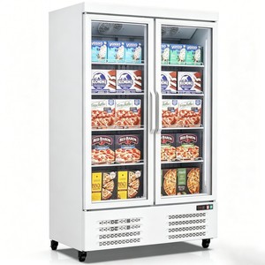 Congélateur commercial sous comptoir à deux portes vitrées, armoire de refroidissement efficace et durable pour la vente de snacks surgelés et de glaces - Product Image 1