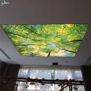 Films décoratifs pour lumière intérieure Led Pvc Translucide Effet 3d Film pour plafond extensible imprimé UV personnalisé pour bureau de luxe