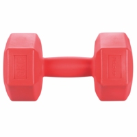 Haltère Galileo Casa PE/Sand 3 kg Rouge Antidérapant Équipement d'exercice corporel Utilisation universelle