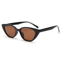 Kacamata Hitam Polarisasi Lensa TAC Cat-eye Tr90 Baru, Trendi Unisex Vintage, UV400, Sempurna untuk Foto Jalanan di Instagram