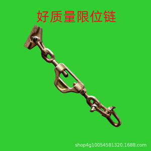 โซ่จำกัดการเคลื่อนที่กำลังสูง 5754/5854/904/1054/1204/1354 โซ่จำกัดการเคลื่อนที่รถแทรกเตอร์ โซ่ป้องกันการสั่นสะเทือนสำหรับระบบส่งกำลัง - Product Image 5