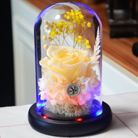 Rose éternelle, fleur séchée sous cloche en verre, coffret cadeau, cadeau créatif pour couple, Saint-Valentin, fête des mères