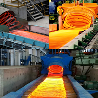 Ligne de production automatique de laminoirs à chaud à prix compétitif fil machine de fer en acier re-laminage avec composant moteur central