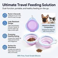 Bol pliable 2-en-1 en silicone pour alimentation lente, anti-fuite avec mousqueton pour le camping en plein air, la randonnée, les chiens de petite et moyenne taille