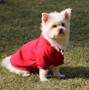 단색 무지 패턴 반려동물 의류 맞춤 로고 강아지 옷 후드티 무지 - Product Image 5