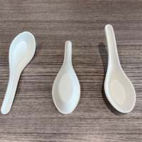 Cuillère à Bagasse asiatique 100%, vaisselle biodégradable, cuillère de service de soupe chinoise jetable pour restaurant