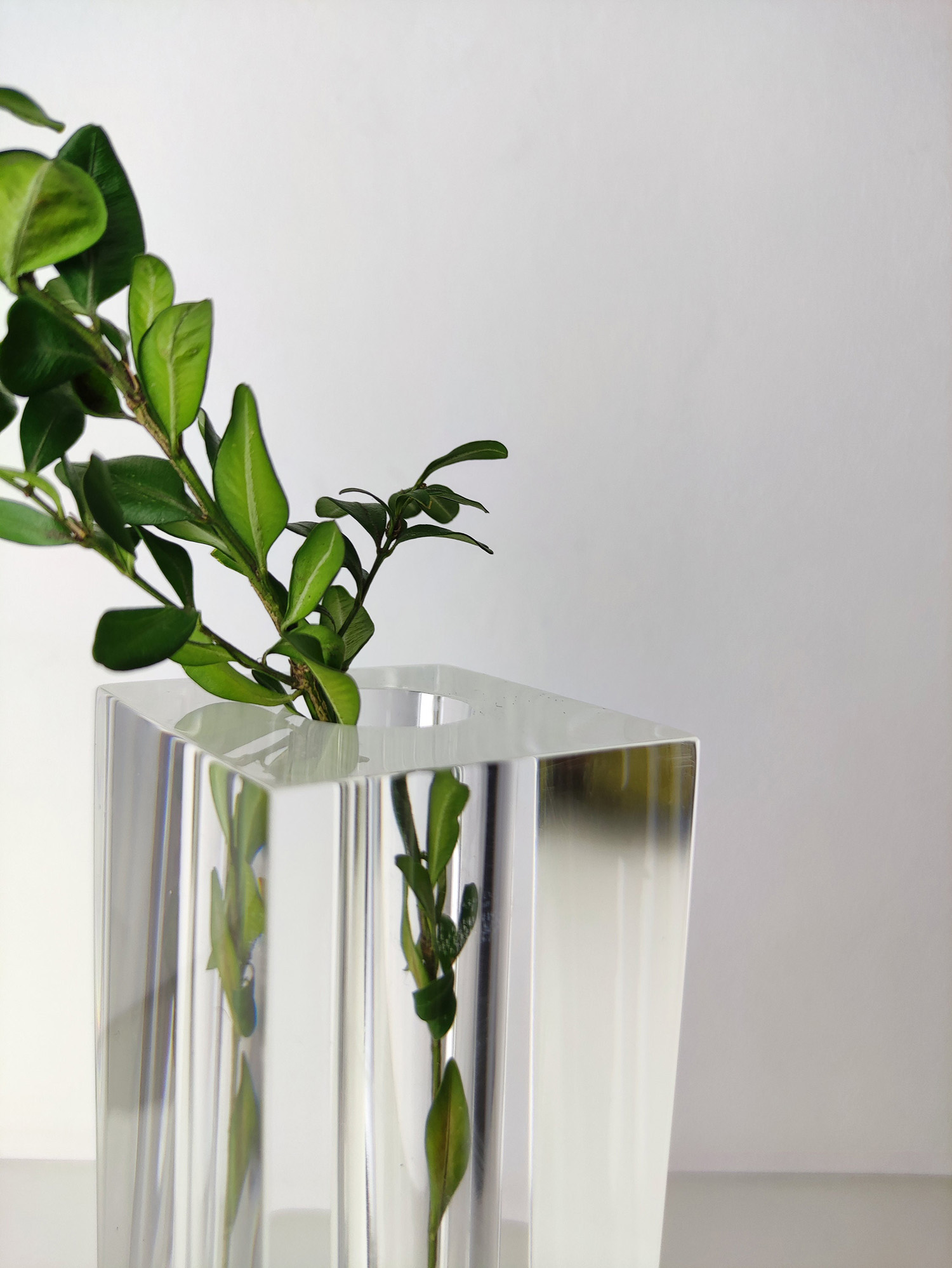 display jar flower bud