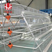 Cage d'élevage de poussins de type A haute densité avec cadre galvanisé durable pour l'équipement d'élevage de poulets de ferme avicole – Fabricant