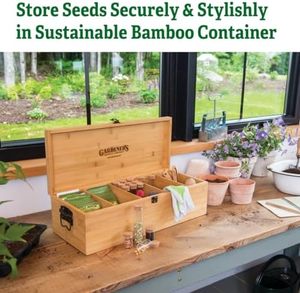 Kit di risparmio di semi di bambù per azienda di fornitura di giardiniere Kit elegante e sicuro per grandi fiale di vetro 3 grandi 3 scatole di immagazzinaggio - Product Image 4