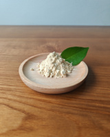 Extrait de Fruit du Moine V 25% 50% Qualité Alimentaire Poudre de Mogroside Édulcorant Zéro Calorie Halal