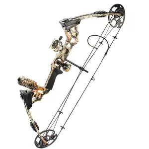 China Archery Compound Bow And Arrows For Sale