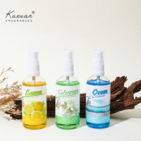Spray Parfum Maison 100 ml Offre Spéciale, Senteur Fruits Frais & Fleurs, Pour Aromathérapie, Plaisir Sans Odeur pour Chambre, avec Coffrets Diffuseurs à Bâtonnets