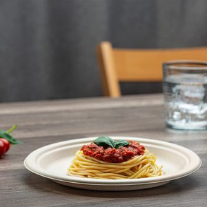 Assiettes jetables écologiques en bagasse de canne à sucre biodégradable, recyclable et compostable - Product Image 6