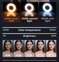 Support de téléphone magnétique pour selfie avec lumière LED, mini lampe portable réglable pour vlog, lumière d'appoint pour téléphone, lumière de beauté rechargeable