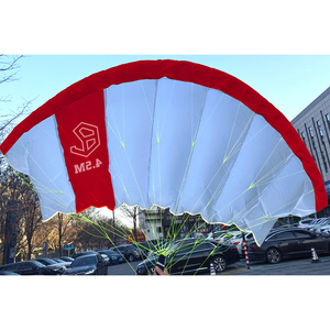 Parawing 4.5M Kite Surfing pour Parapente Rush Wave Kite Wind Foil Paraglider Hydrofoil Board Wing Foil Set Surfboard Wingfoil - Product Image 2