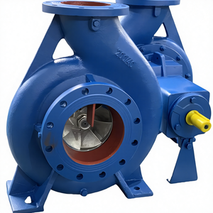Bomba Centrífuga de Alta Presión, Alto Flujo y Servicio Pesado para Riego, Suministro de Agua y Aire Acondicionado - Product Image 1