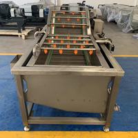 Machine à laver industrielle de dattes de légumes frais, de fruits, de nettoyage, de séchage et de traitement