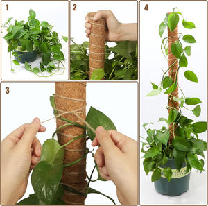 Poteau de mousse extensible géant de 80 pouces en gros-Treillis de fibre de coco de qualité supérieure, offres de commandes importantes - Product Image 2