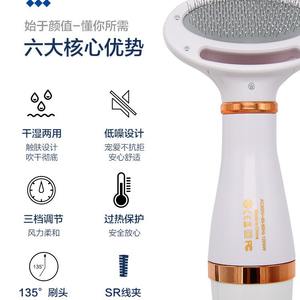 Peigne à air chaud 2 en 1 pour toilettage des animaux, en matériau ABS, outil multifonctionnel pour l'entretien du pelage, rechargeable - Product Image 5